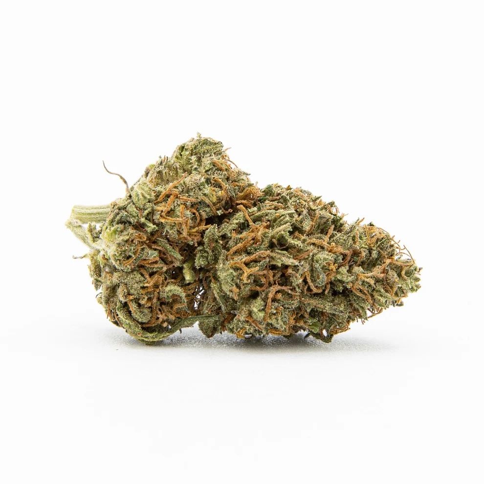 NY Diesel
