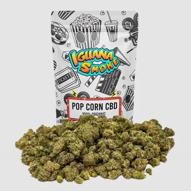 Pop Corn - 15g